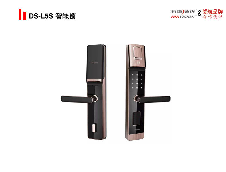 DS-L5S 智能锁